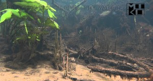 Amazon Tropical River Underwater Stock Video Footage 14