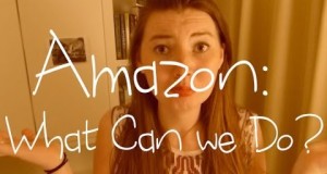 Amazon: What can we do?  (Discussion)