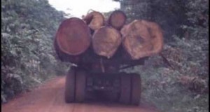 KS3 Geography- Amazon Rainforest- Impact Of Deforestation
