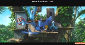 Rio 2 – Amazon Or Bust