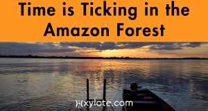 Time is Ticking in the Amazon Forest Royalty Free Music by Xylote.com